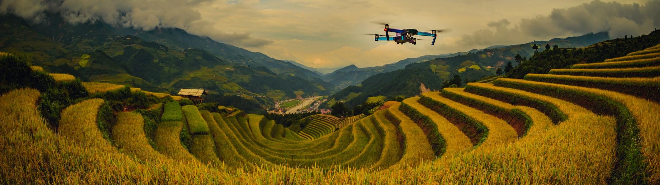 Drone Agricolture (1)