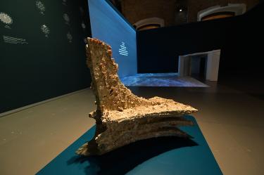 Num_048